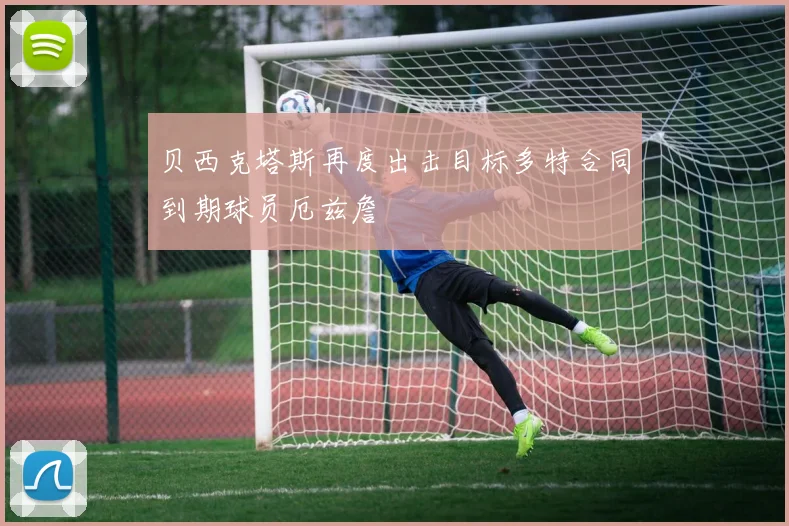 贝西克塔斯再度出击目标多特合同到期球员厄兹詹